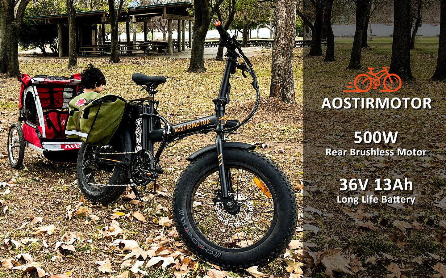 Fat Tire Electric Folding Ebike for Adults