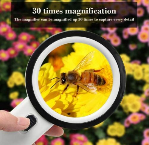 Jumbo Lighted Magnifying Glass for Seniors