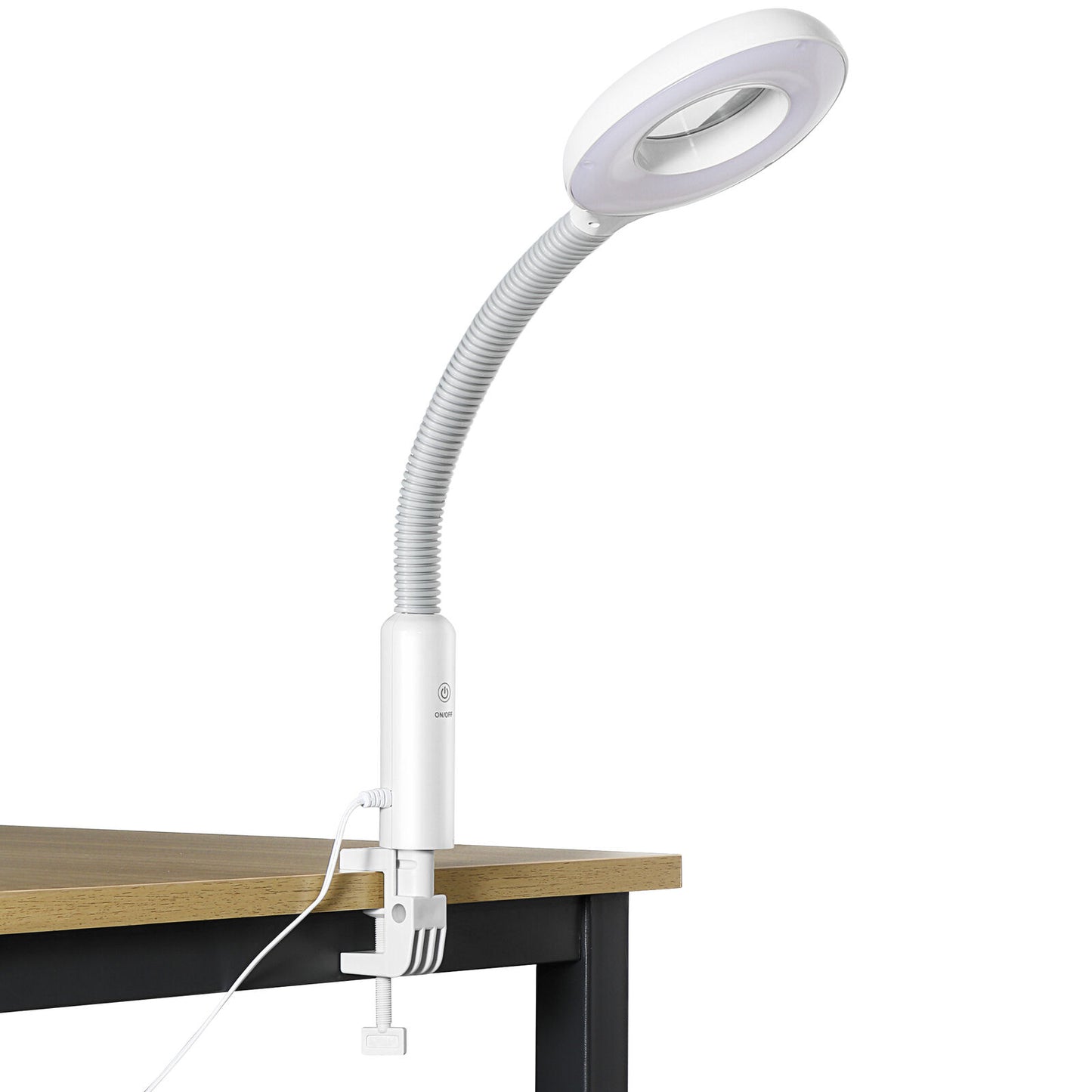 Professional 2-in-1 Facial Steamer
