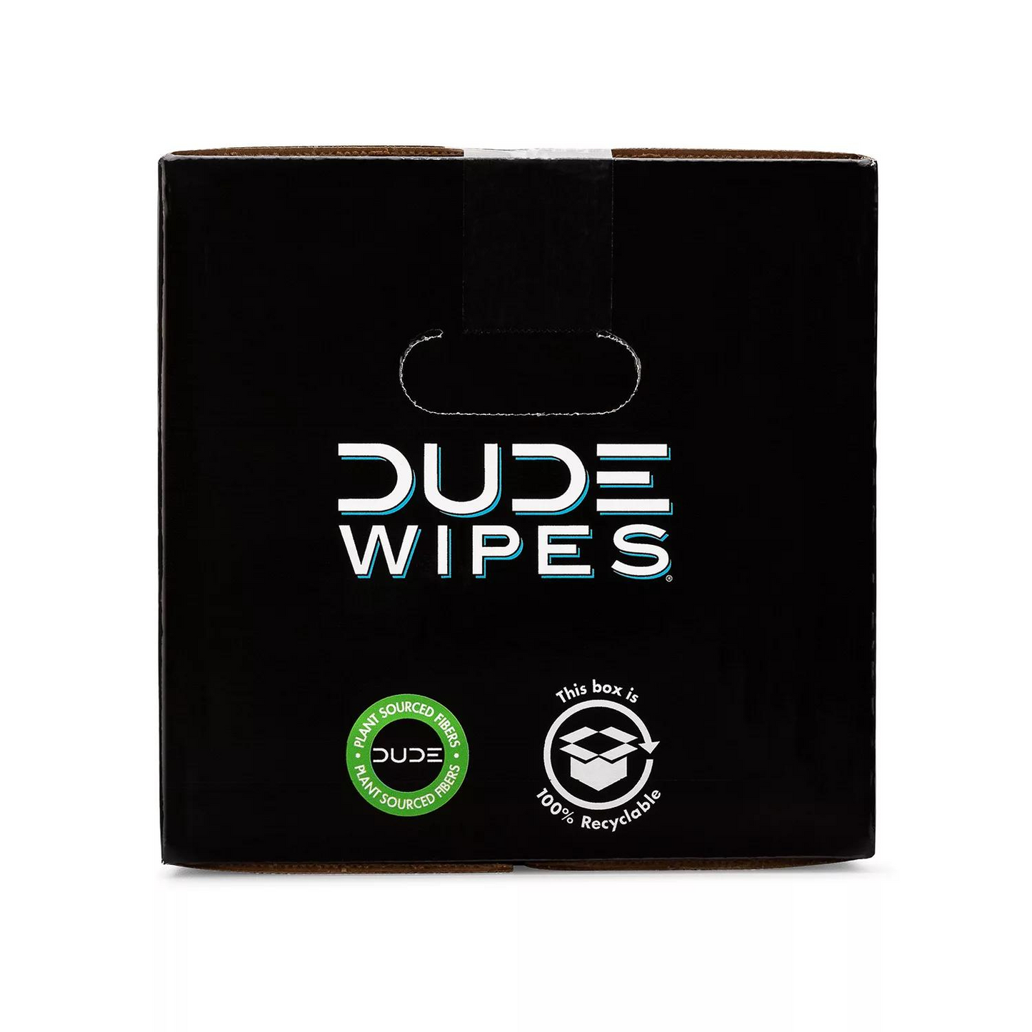DUDE Wipes, Flushable Wipes, Extra Large and Fragrance-Free Wipes (400 Ct.)