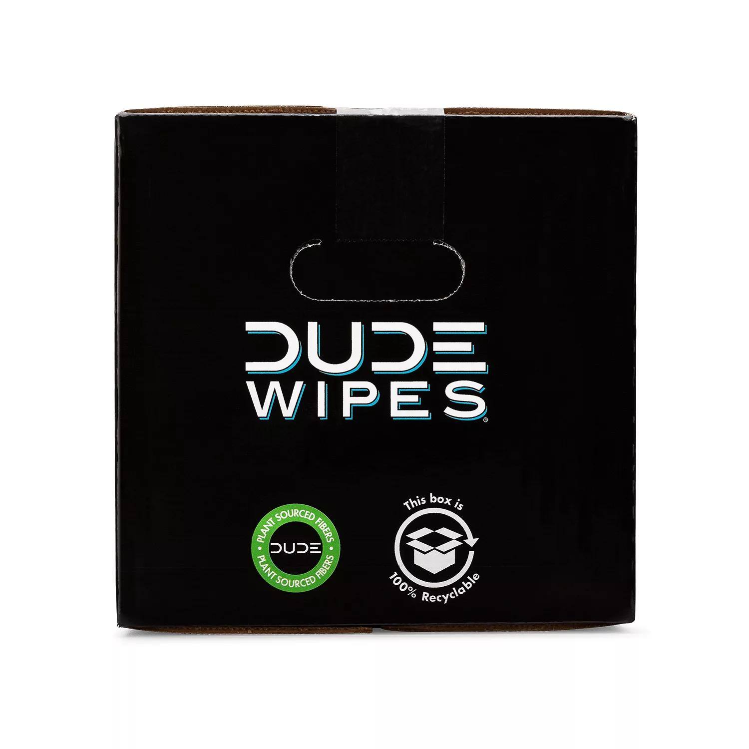 DUDE Wipes, Flushable Wipes, Extra Large and Fragrance-Free Wipes (400 Ct.)