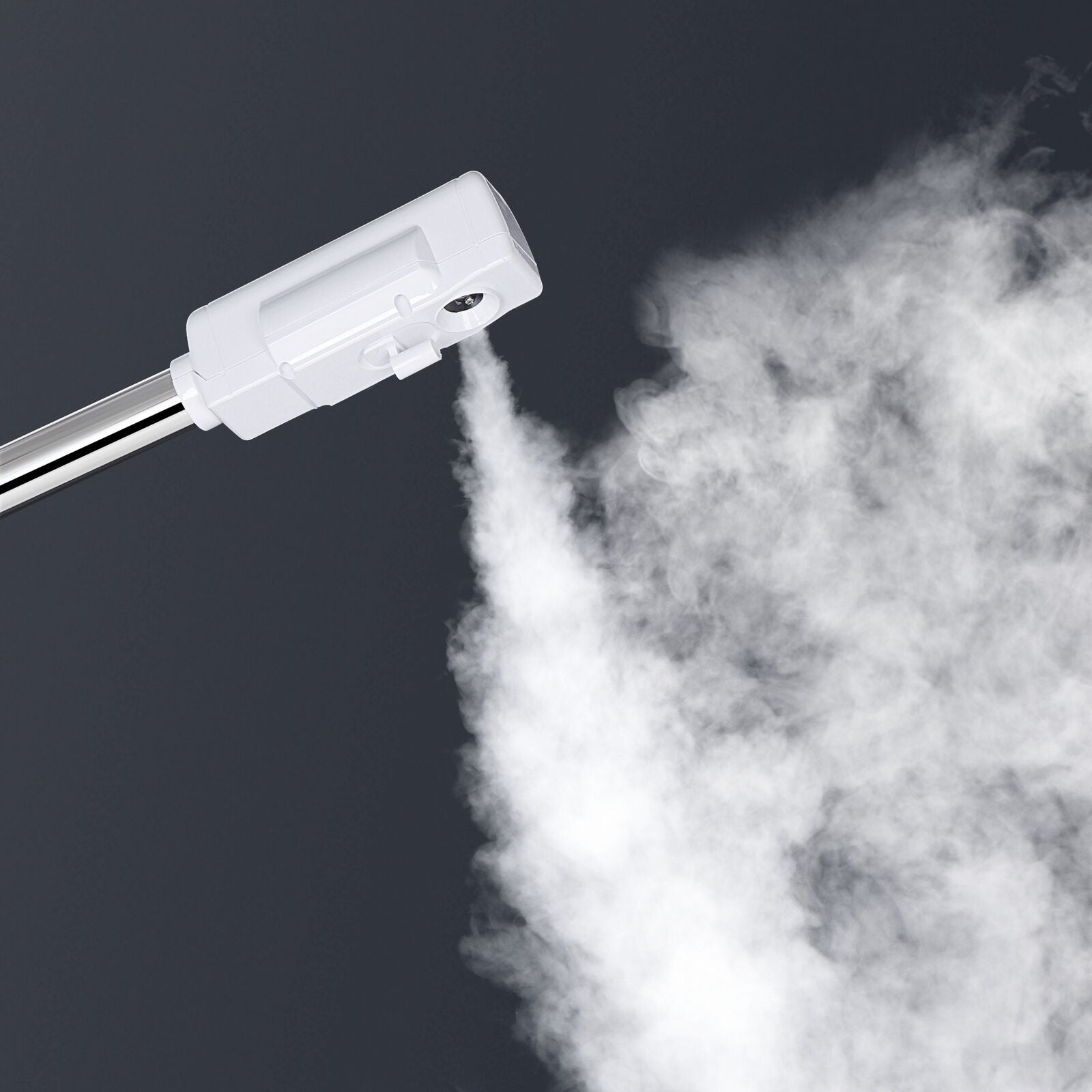Professional 2-in-1 Facial Steamer